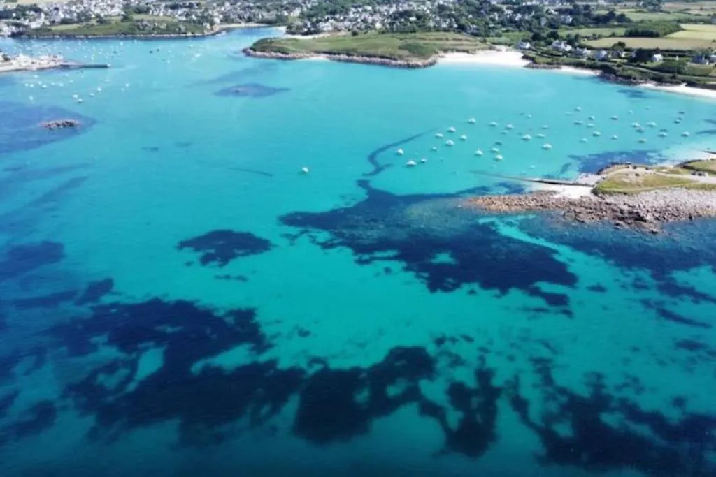 Ty Glas Charmante Maison 200 M De La Plage Ploudalmezeau 0*,  France